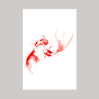 Complicité rouge
