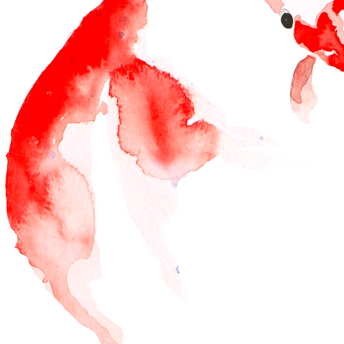 Complicité rouge