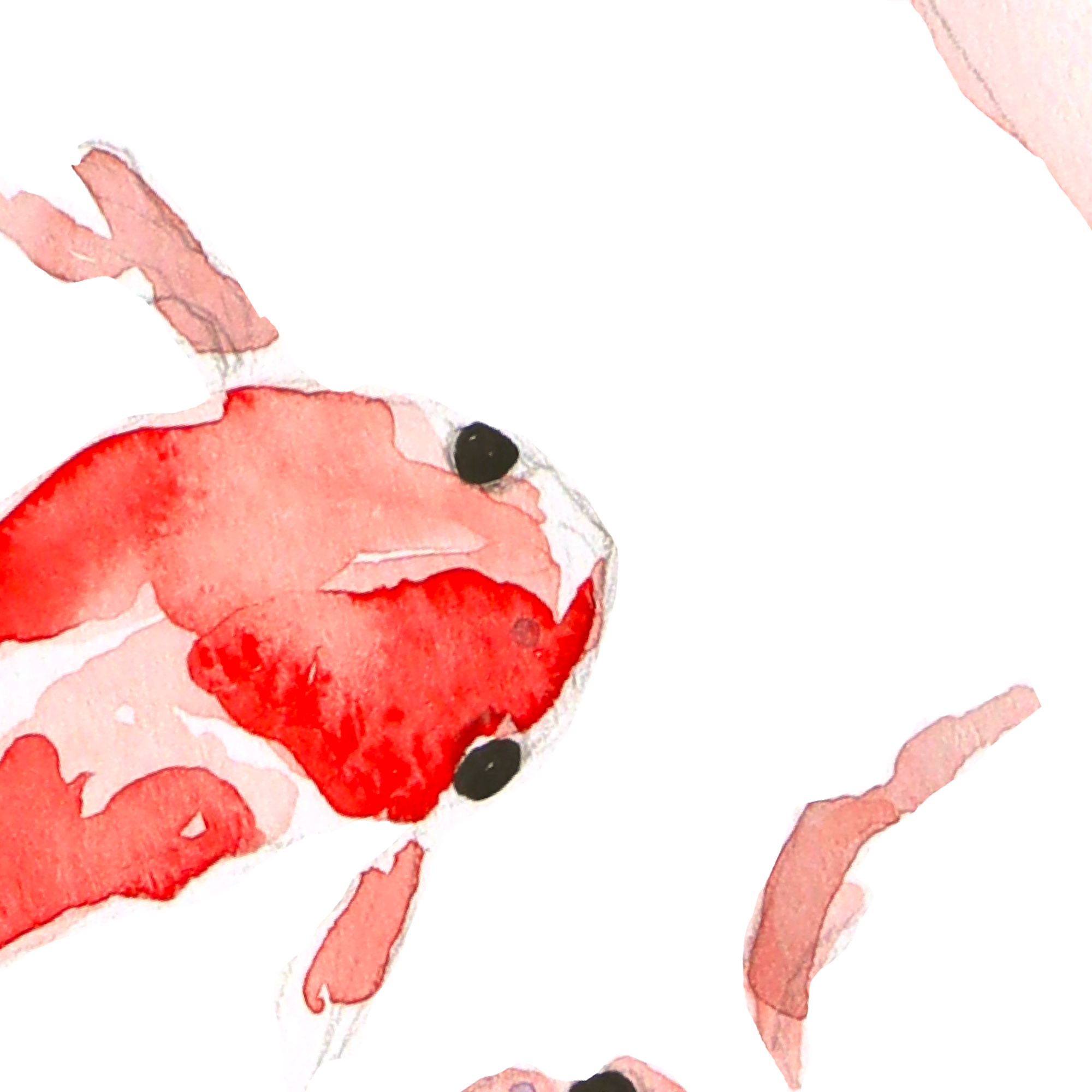 Complicité rouge