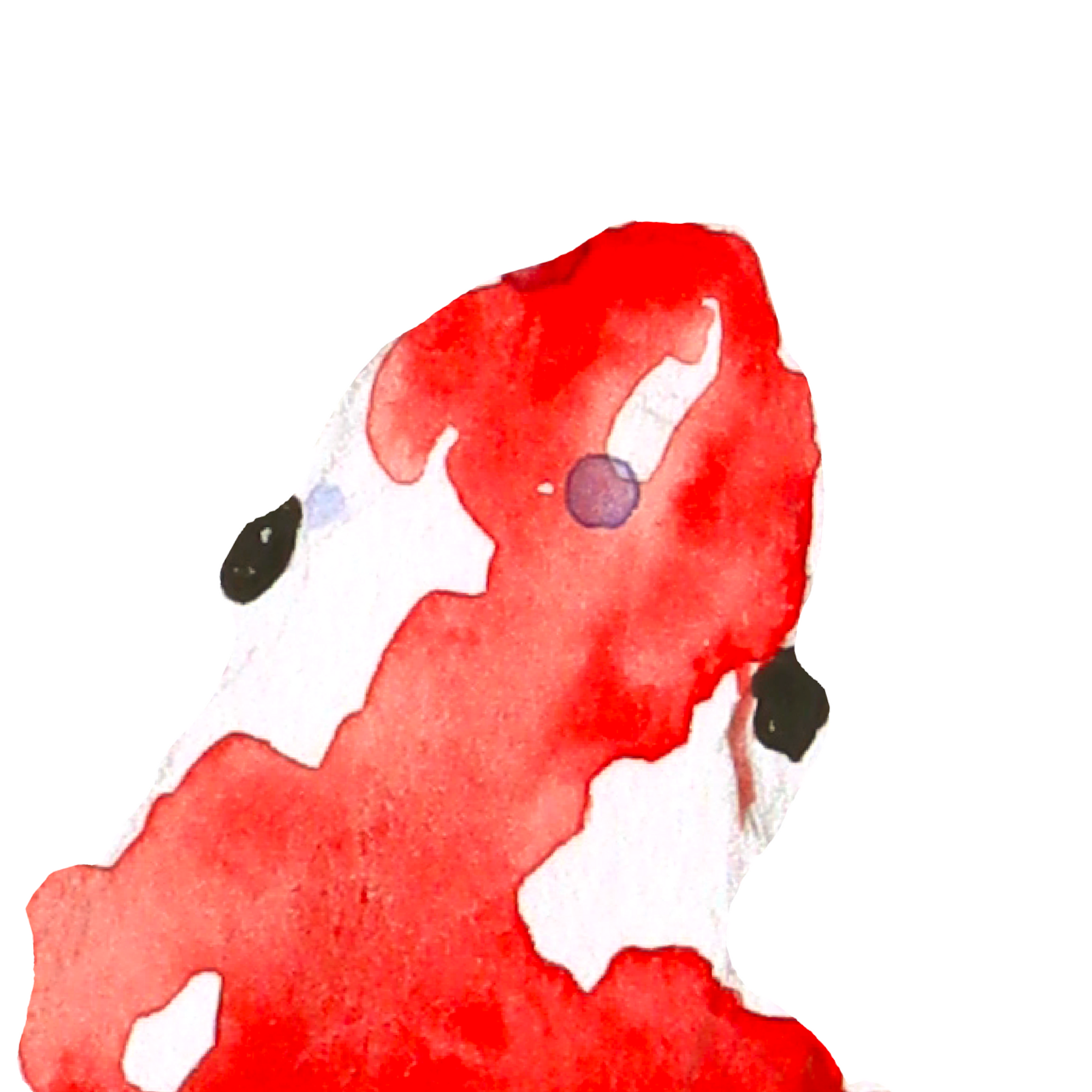 Élan rouge