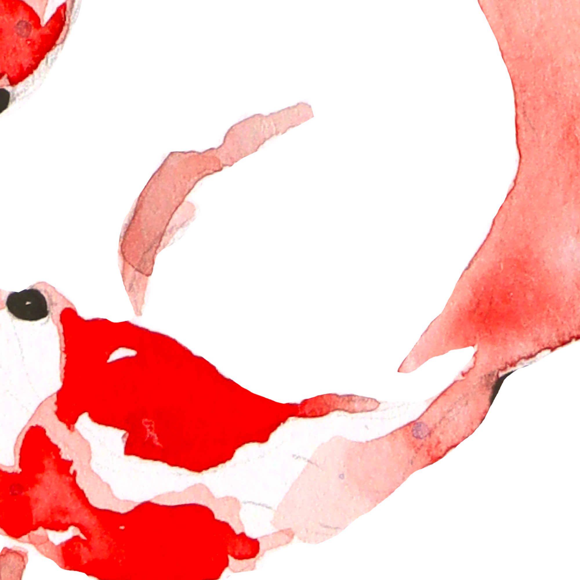 Complicité rouge