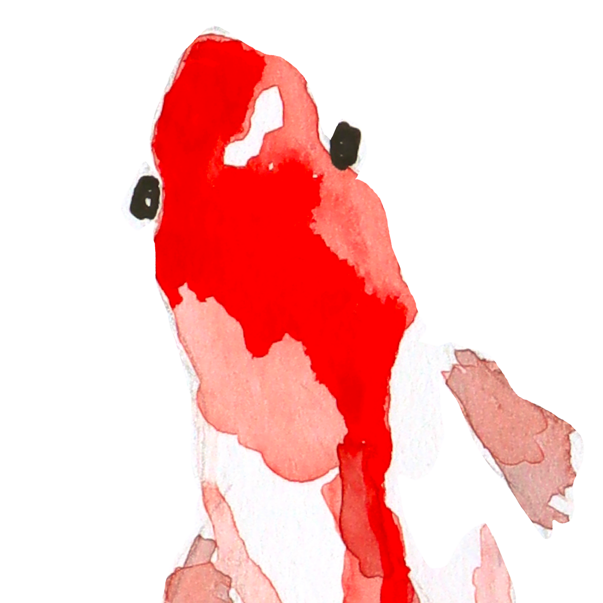 Élan rouge