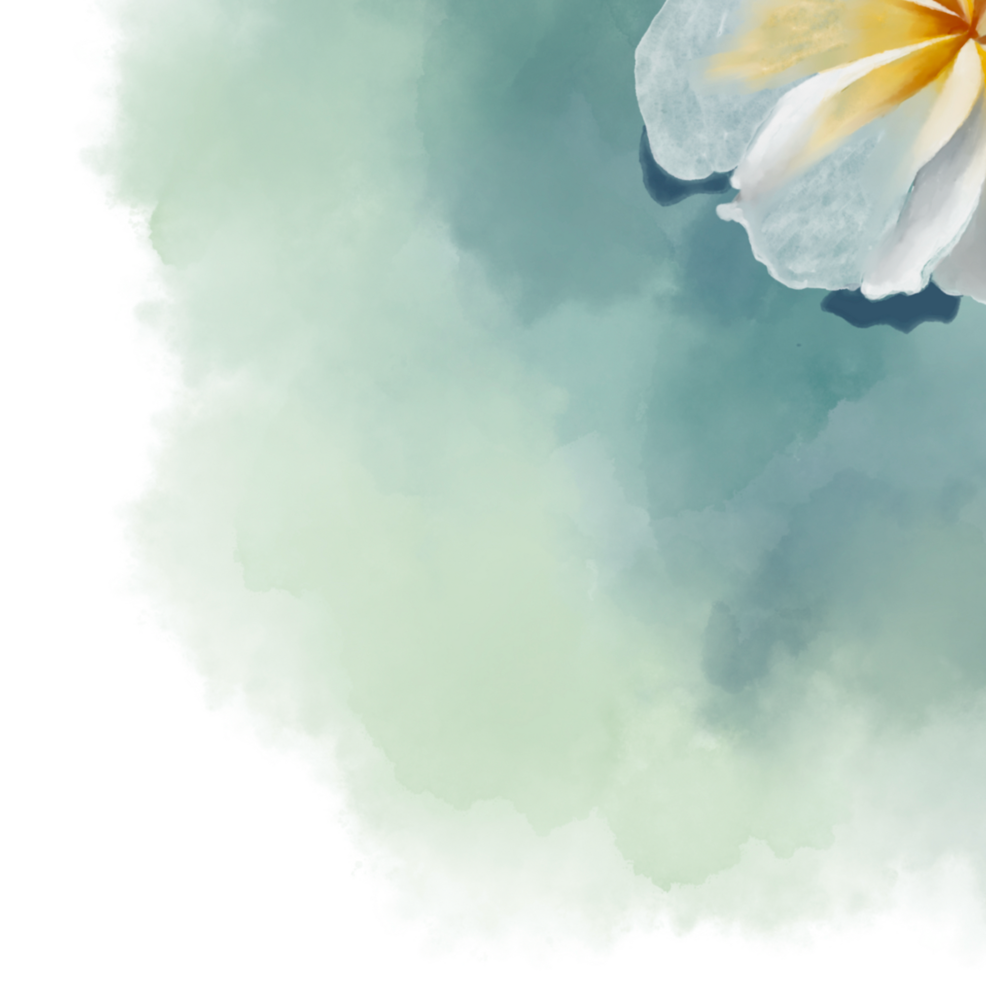 Comme le Jasmin
