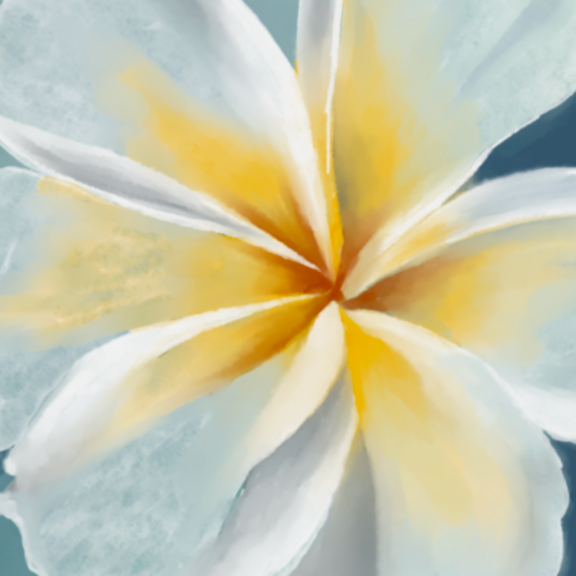 Comme le Jasmin