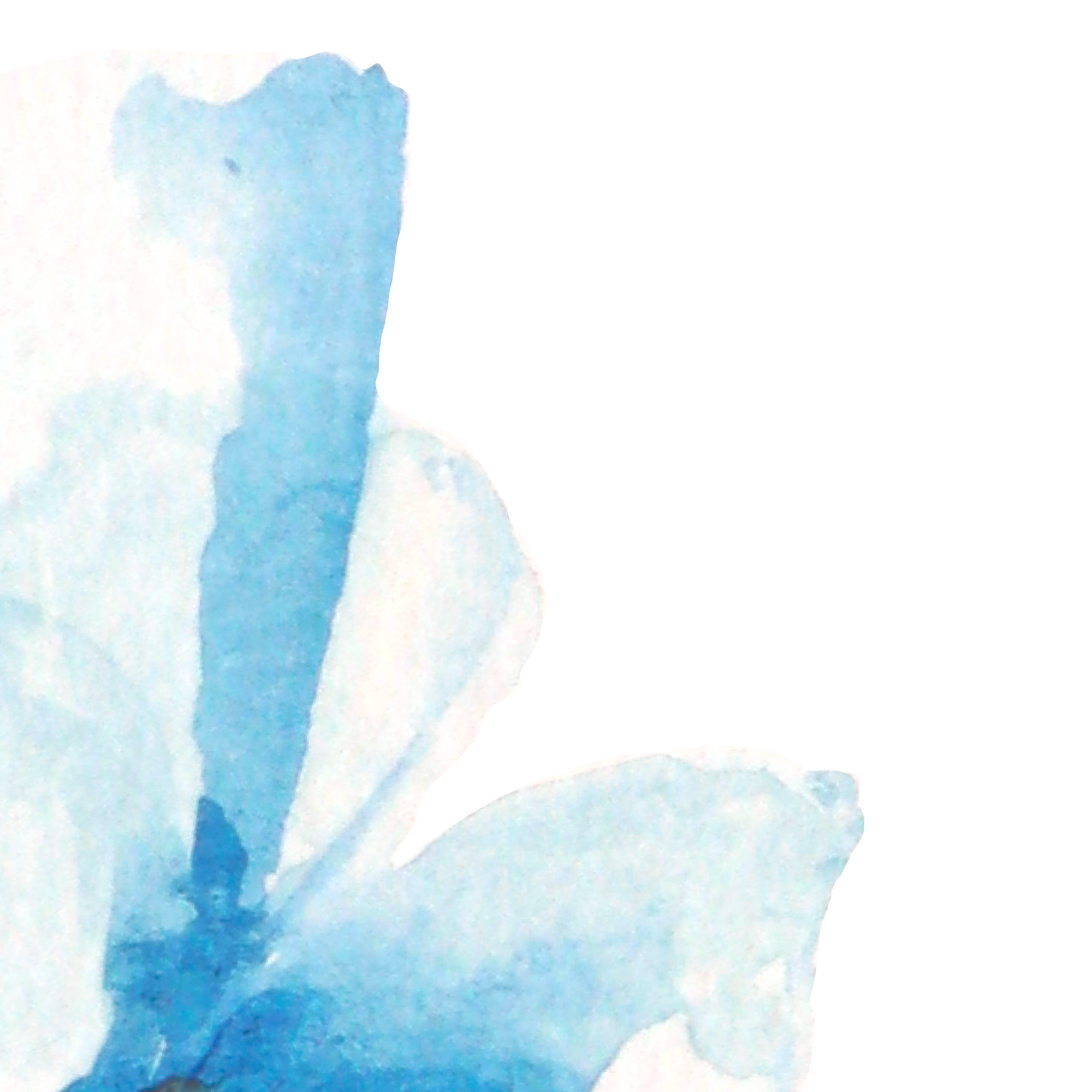 Éclosion bleue