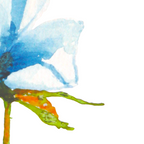 Éclosion bleue