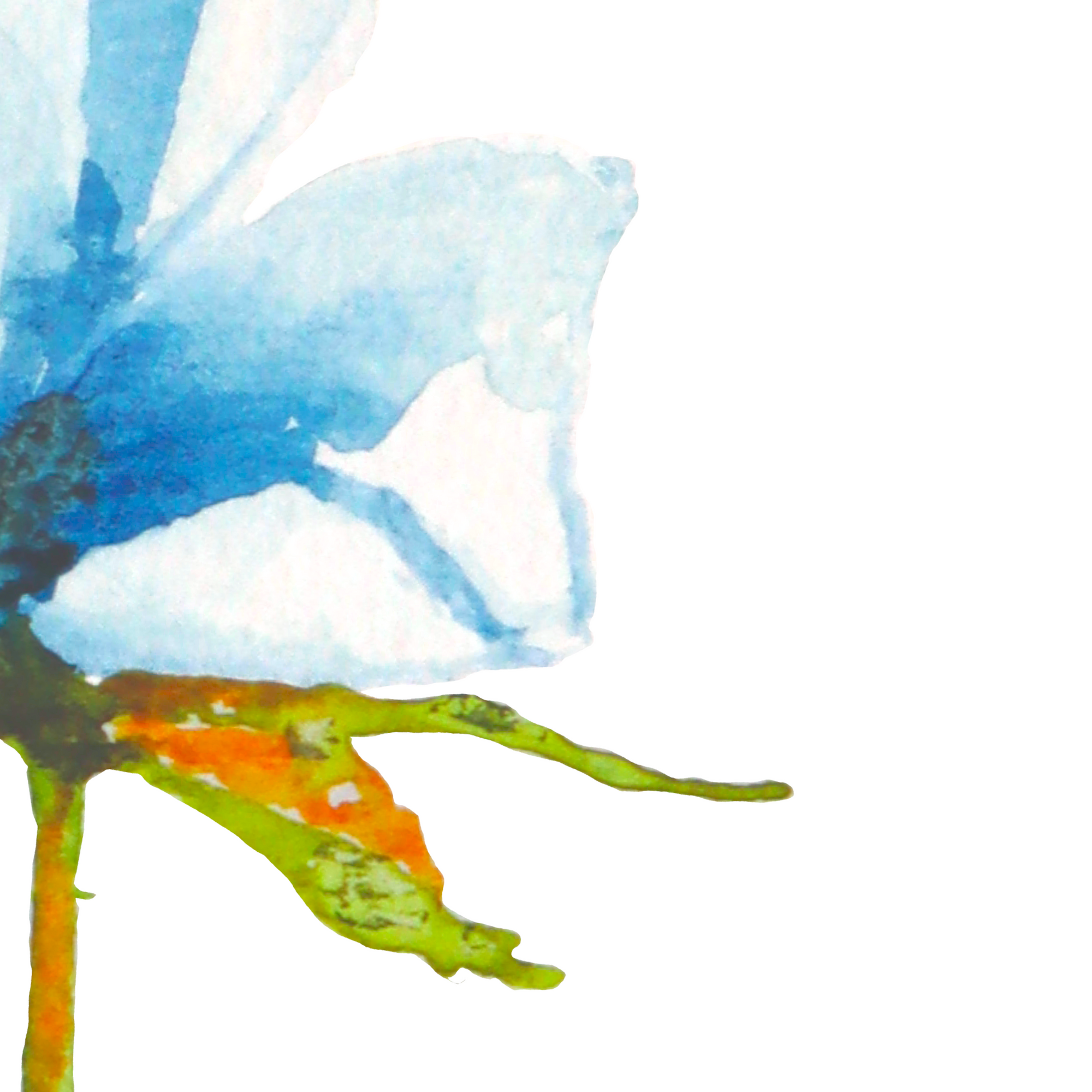 Éclosion bleue
