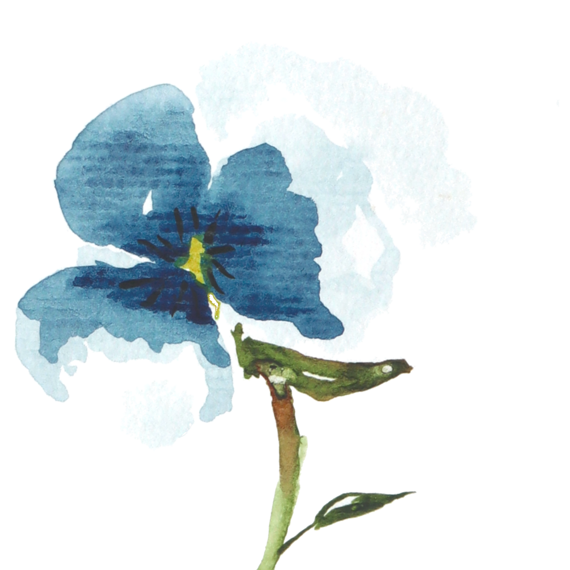 Pensées bleues