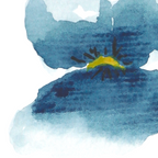 Pensées bleues