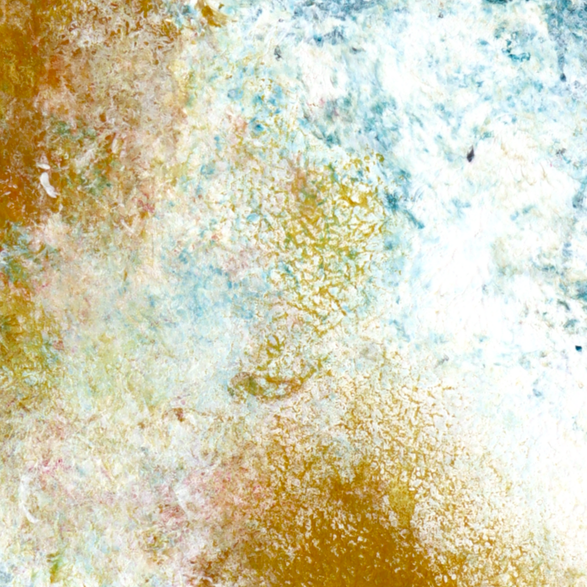 Traces d’éveil
